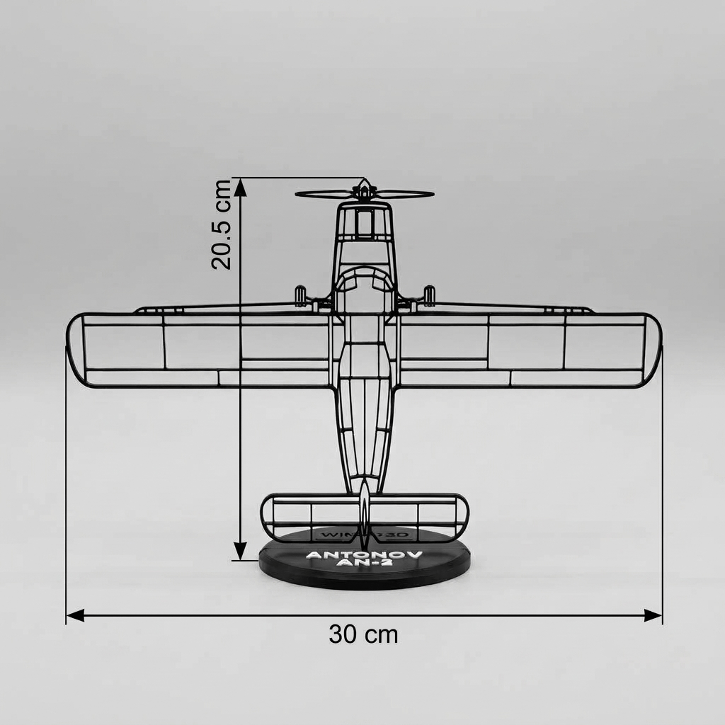 An-2 - Image 2